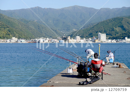 桟橋の釣り風景 12709759