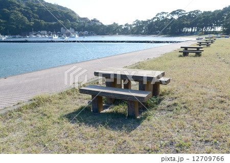 浜辺の風景 12709766