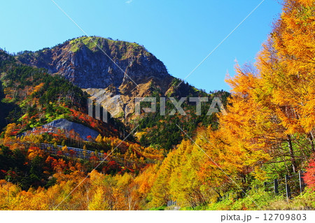日光白根山 12709803
