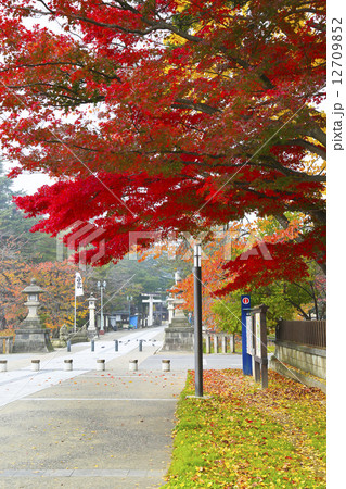 上杉神社　山形県 12709852