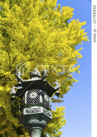 宮内熊野大社 山形県 宮内熊野大社 山形県 12709892