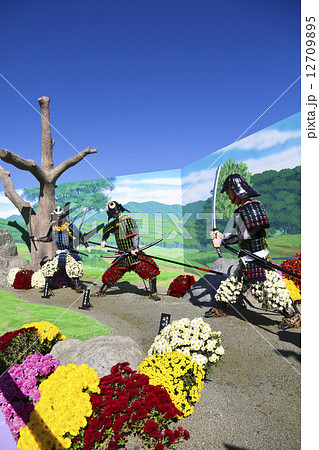 南陽市　菊まつり 12709895