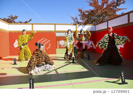 南陽市　菊まつり、 12709901