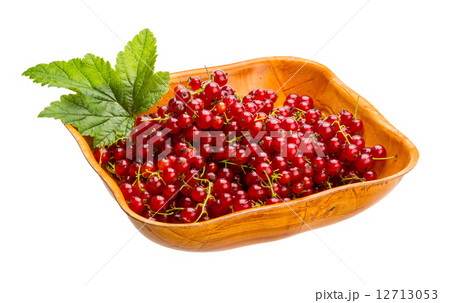 Red currant 12713053