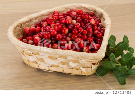 Cowberry Cowberry 12713402