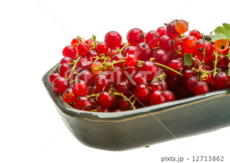 Red currant 12713862
