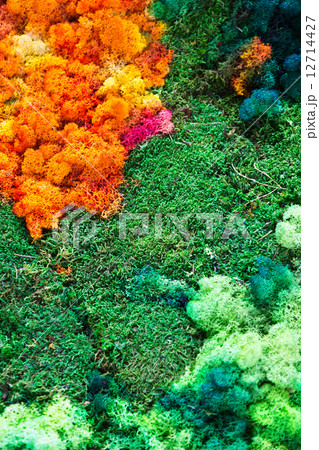 Nature colorful background 12714427