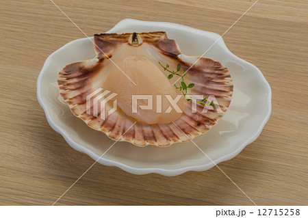 Raw scallops 12715258