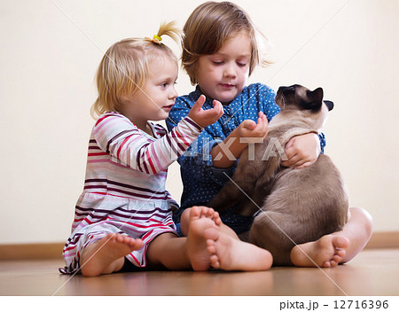 Two happy little girls with cat Two happy little girls with cat 12716396