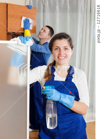 Team of professional cleaners 12716616