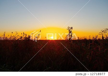 原野と朝日 12718977