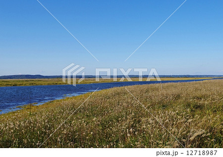 秋の草原と川 12718987
