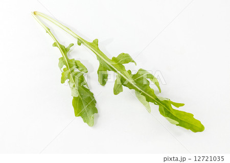 arugula on the white 12721035