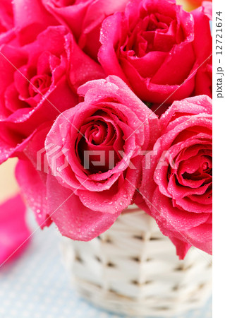 pink roses in the basket pink roses in the basket 12721674