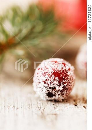 Christmas berry 12721829