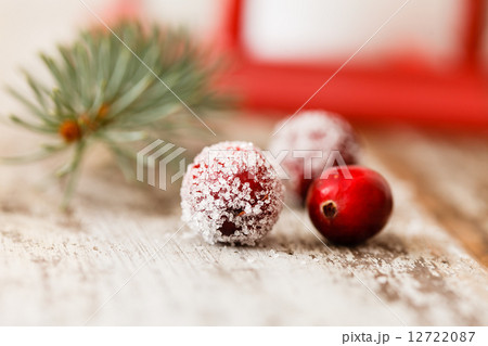Christmas berry Christmas berry 12722087