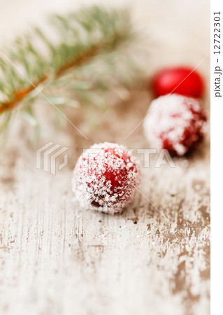 Christmas berry 12722301
