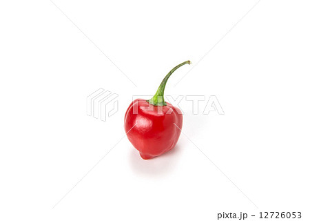 ハバネロ 12726053