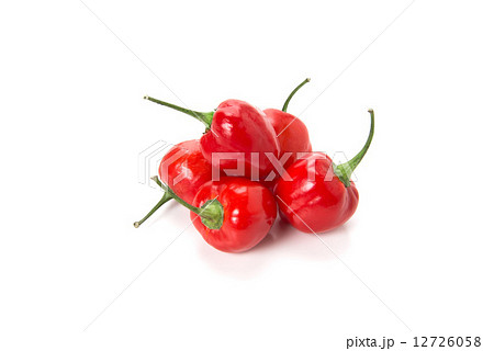 ハバネロ 12726058