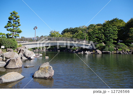 しながわ区民公園の橋 しながわ区民公園の橋 12726566