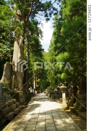 高野山奥の院の参道 12726602