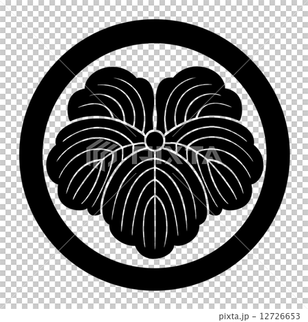 Arita Mamoru先生常春藤 12726653