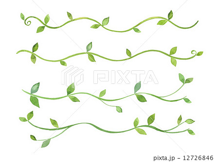 緑の蔓草のラインのイラスト素材