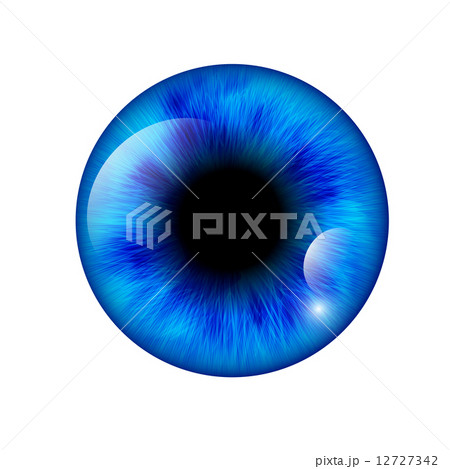 Eye. Vector illustration 12727342