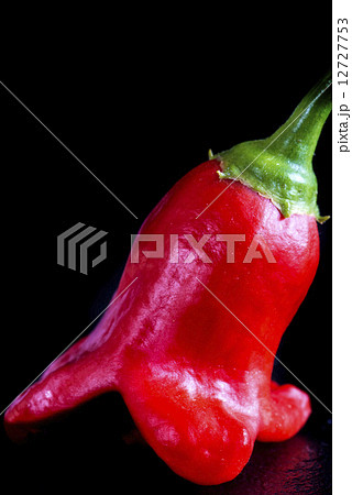 chili bishops crown 12727753