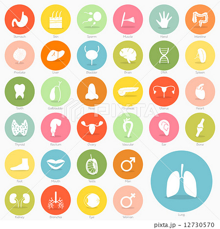 Body icon short shadow design, vector eps10 Body icon short shadow design, vector eps10 12730570