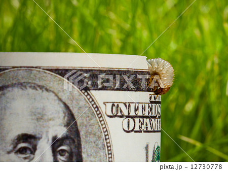 dollar banknote eaten by caterpillar - economic crisis concept 12730778