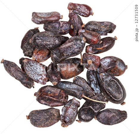 dried black berberis fruits close up isolated dried black berberis fruits close up isolated 12731509