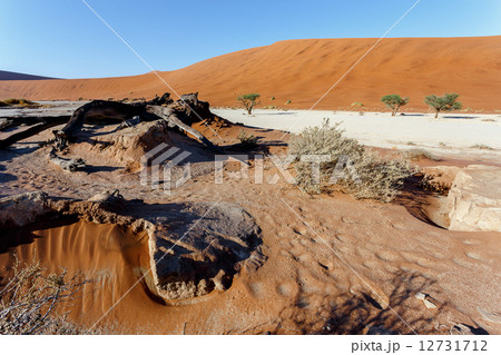 beautiful landscape of Hidden Vlei in Namib desert beautiful landscape of Hidden Vlei in Namib desert 12731712