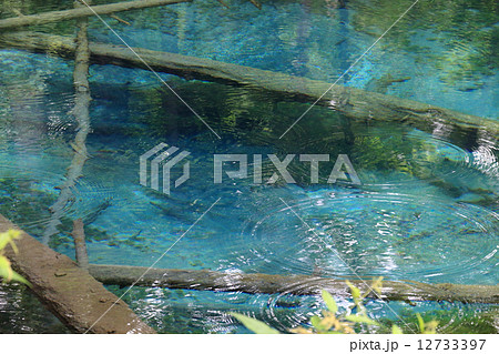神の子池の波紋 12733397