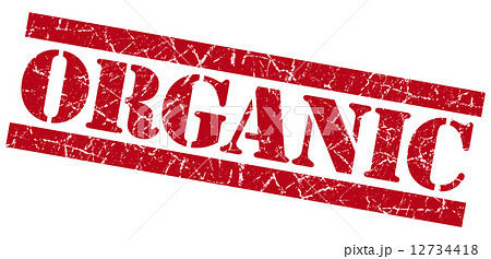 Organic grunge red stamp 12734418