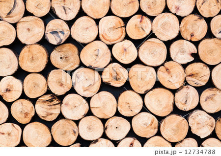 Log wood Wall background 12734788