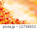 もみじ　紅葉　背景 12736652