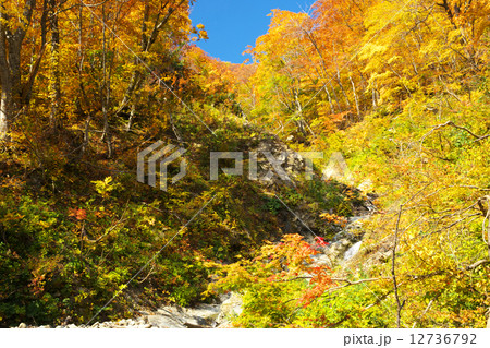 青森　西目屋村　暗門 12736792