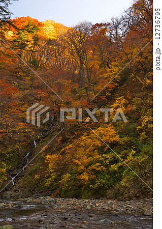青森 西目屋村 暗門 青森 西目屋村 暗門 12736795