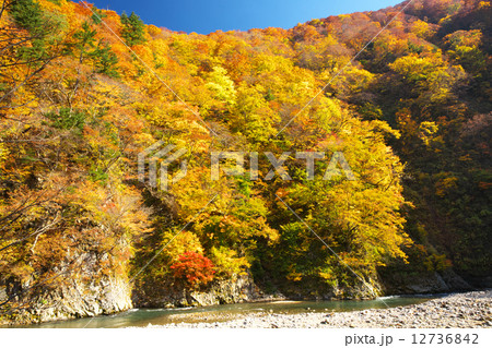 青森　鯵ヶ沢町　赤石川 12736842