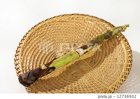 山菜・山うど・野菜 12736932