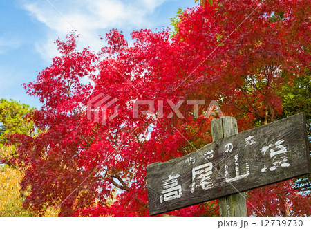 高尾山の紅葉 12739730