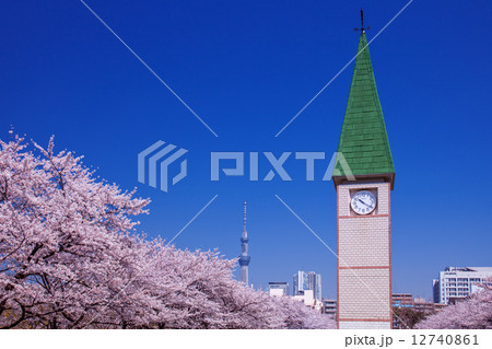 桜と時計台 12740861