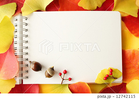 秋背景のスケッチブック 12742115