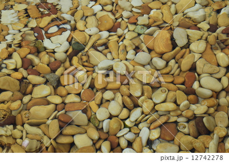 水底の小石 水底の小石 12742278