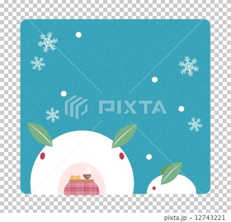 Snow Rabbit Bearing Material 12743221