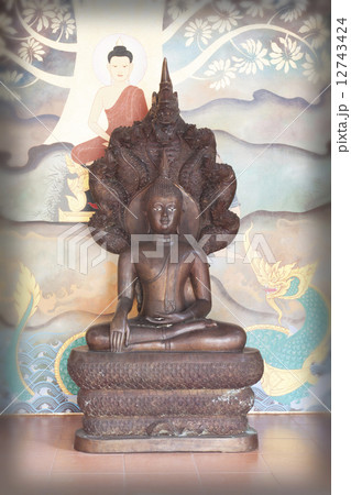 Buddha 12743424