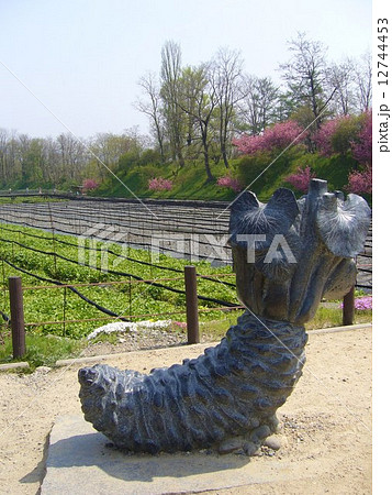 長野　大王わさび農場 12744453