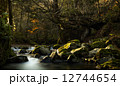 ネコバリ岩 12744654