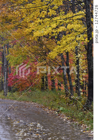 山道の紅葉 12744726